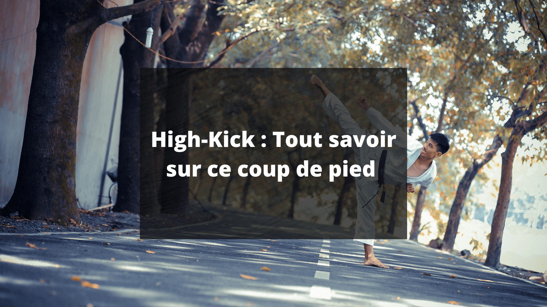 high kick